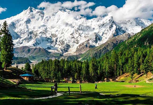 Fairy Meadows